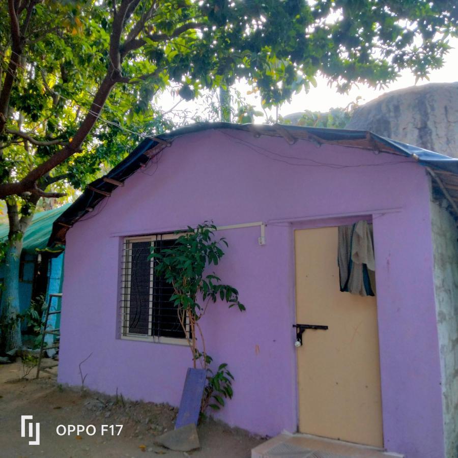 Goldengarden Cottages Hampi Pokoj fotografie